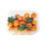 biodegradable clamshell eco plastic food containers