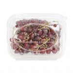 biodegradable pla compostable food container