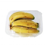 compostable pla plastic food container