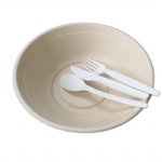 biodegradable compostable pla spoon folk knife cutlery set