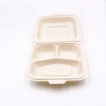 cornstarch take away food container